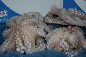 Image Octopus